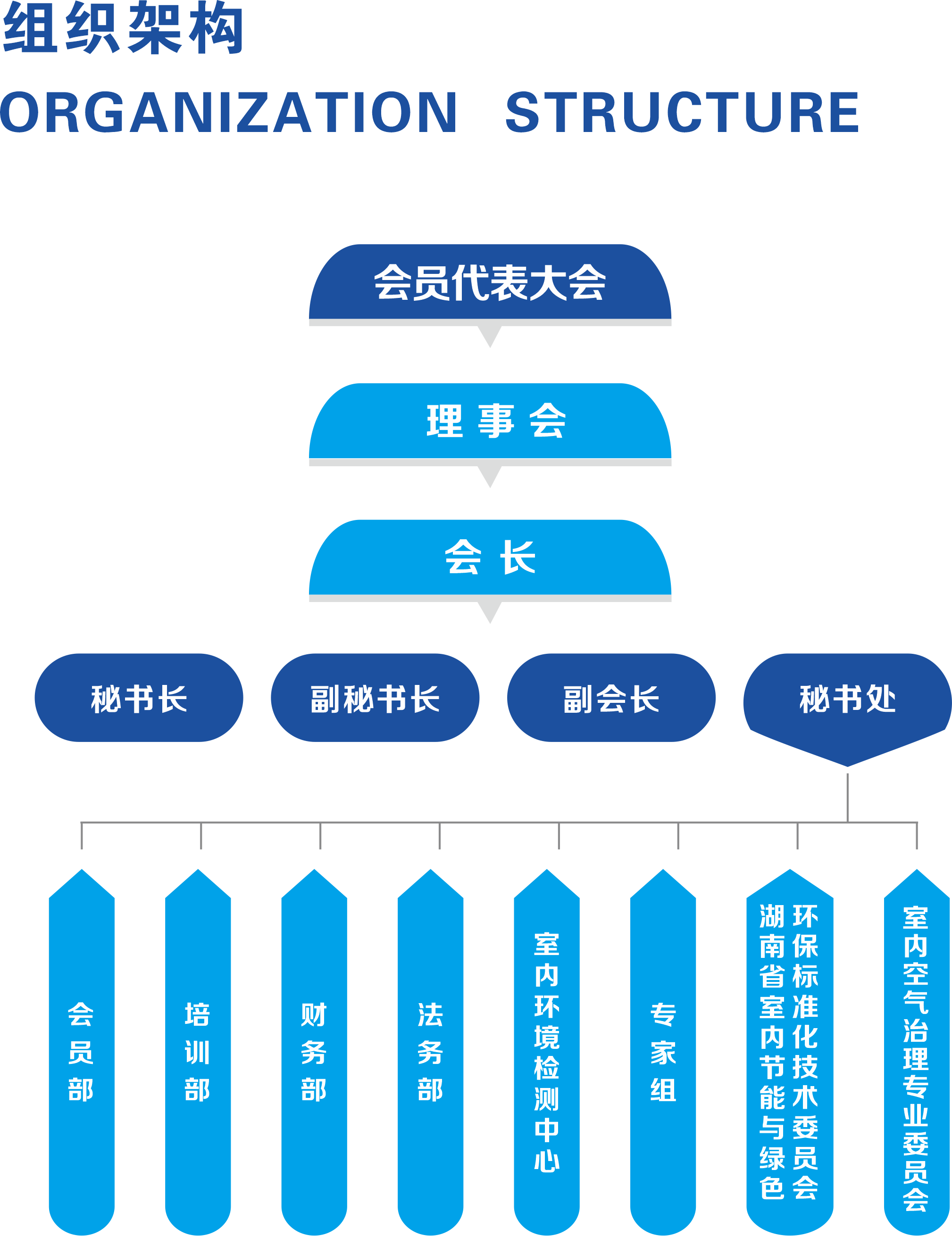 协会册子20191105.png